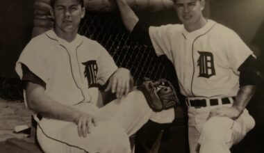 Who are these Tigers?