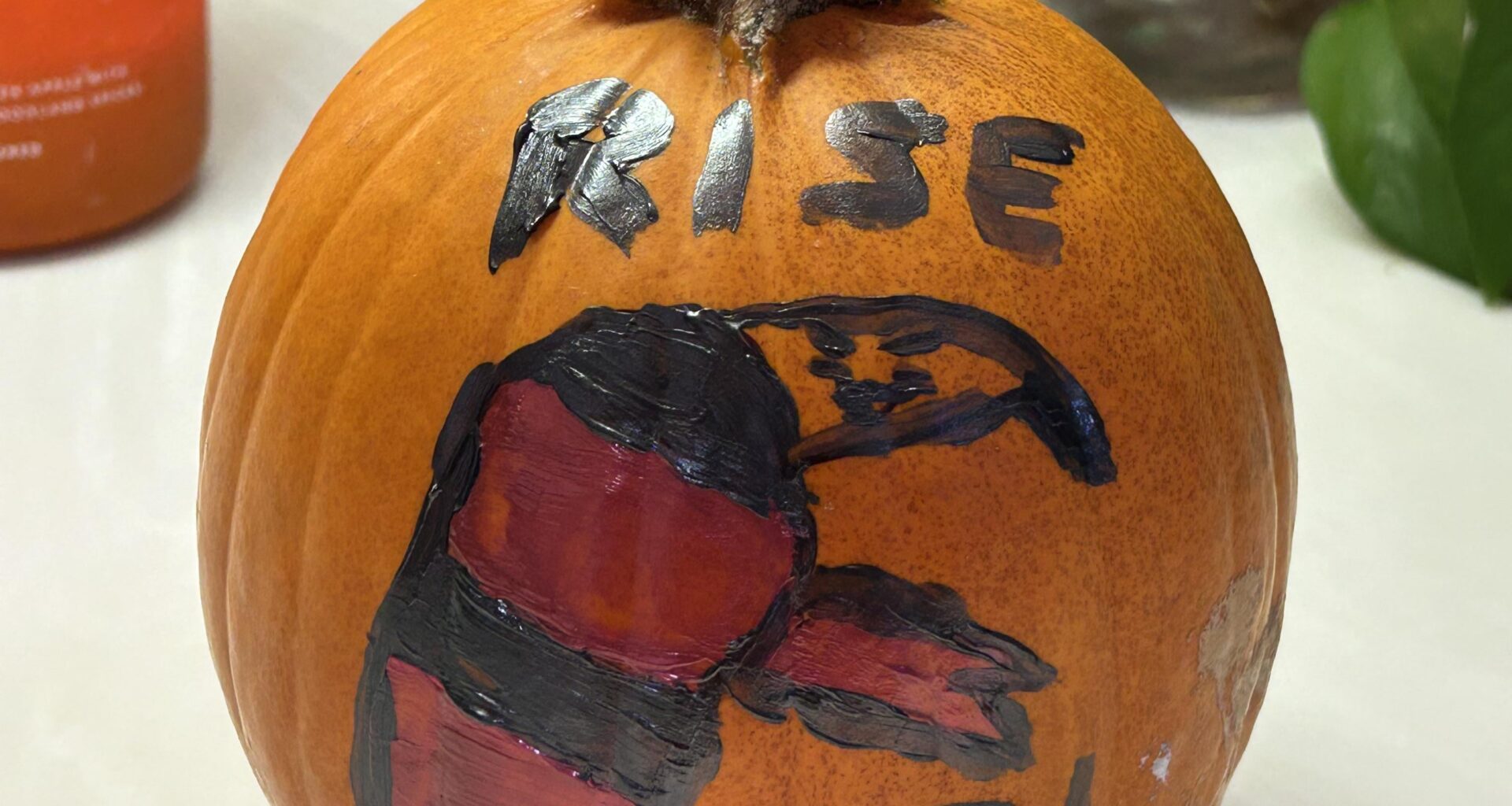 I thought y’all might appreciate my pumpkin