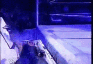 Joel to The Ringer 100