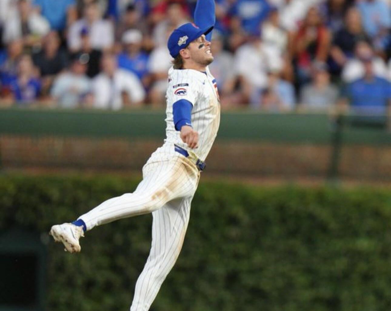 Make him a Cub for life!