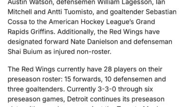 [Detroit Red Wings] Roster cut to 28 players