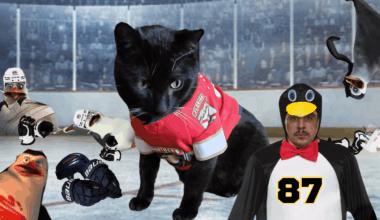 4 penguins down 1 left in JP's sights