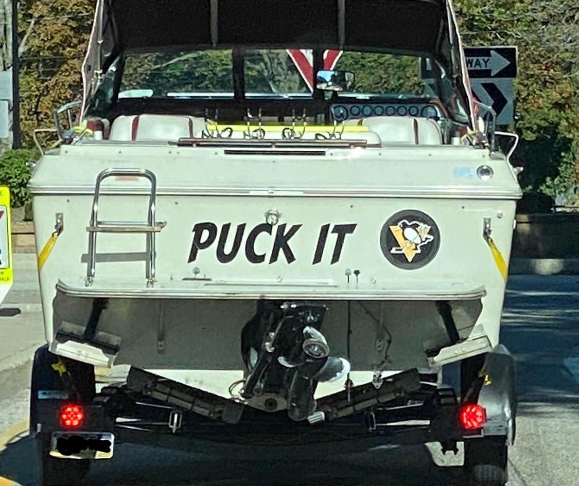 Followed this good soul for a bit from the marina.