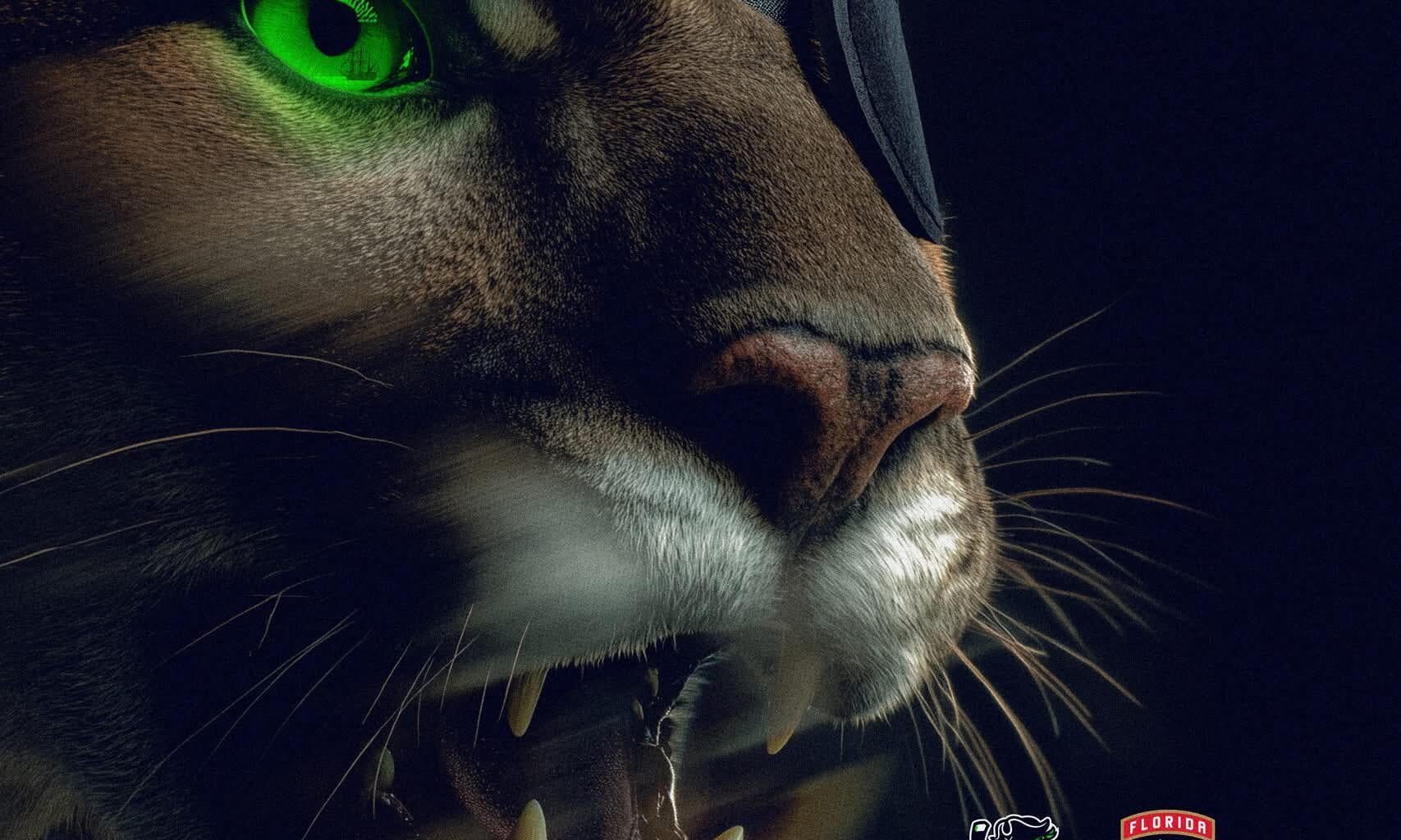 Post from the Panthers to their affiliate in Savannah today.