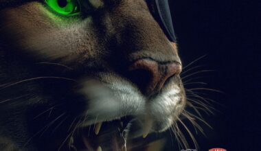 Post from the Panthers to their affiliate in Savannah today.