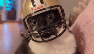 Time to give Arthur some snaps as WR