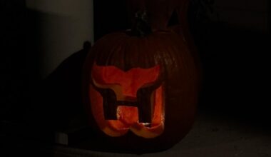 Sabres fan who comes in peace, I carved a whalers pumpkin 🐳