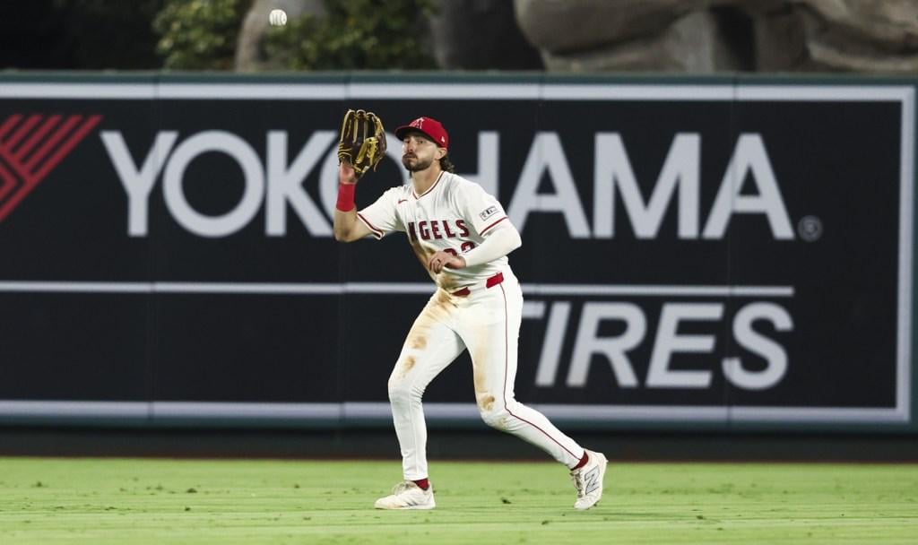 Torii Hunter believes Angels center fielder Bryce Teodosio has more upside