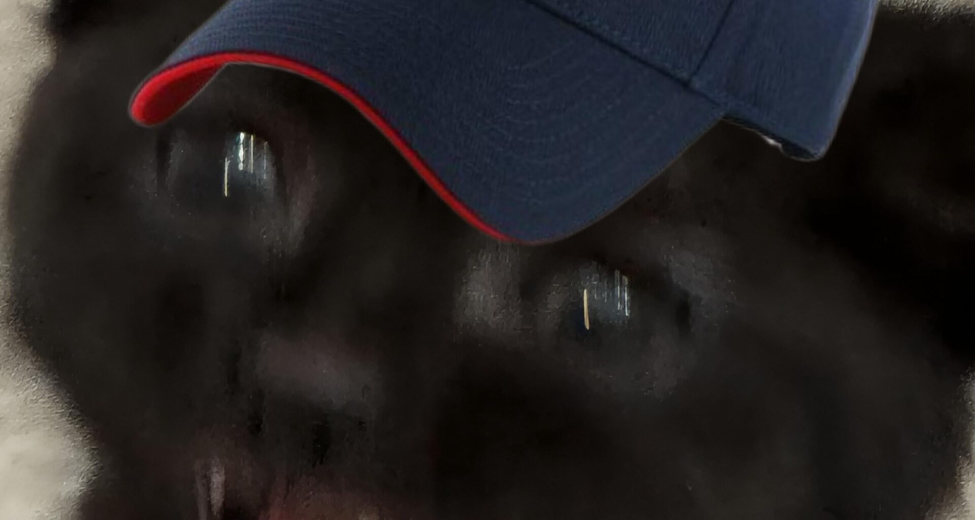 POV: It's Sunday and the texans are playing today.