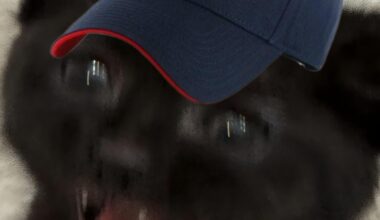 POV: It's Sunday and the texans are playing today.