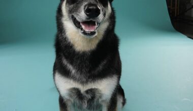 Rest in peace, Coolie. @bboeser [Instagram]