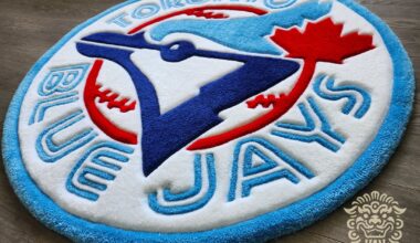 Any Jays fans in here? Thought you would like this rug I made!
