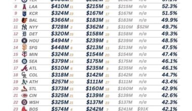Good revenue year  🤷🏻‍♂️