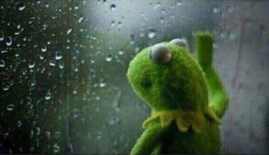 me watching other teams' rookie pitchers shove in the postseason while ours is on the IL