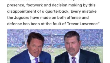 How commentators treat Tlaw