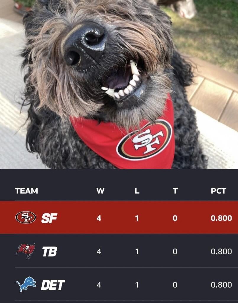 Olive says goodnight!