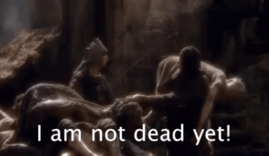 2025 Postseason Cubs