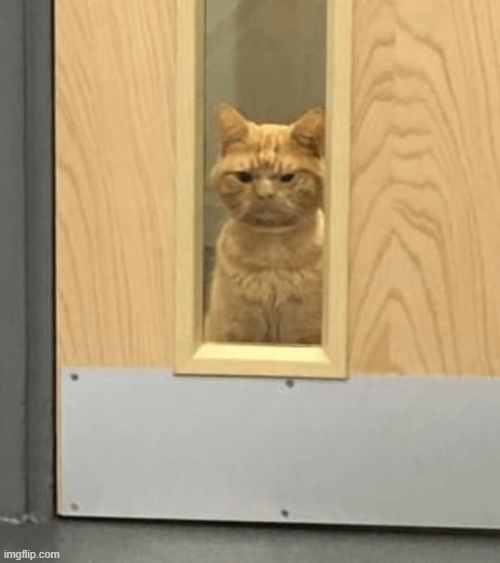 Waking up, knowing we most likely lost due to bad officiating.