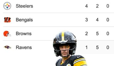 Ladies and gentlemen, despite some terrible defense and a loss to the Bengals the Steelers once again sit atop the AFC North.
