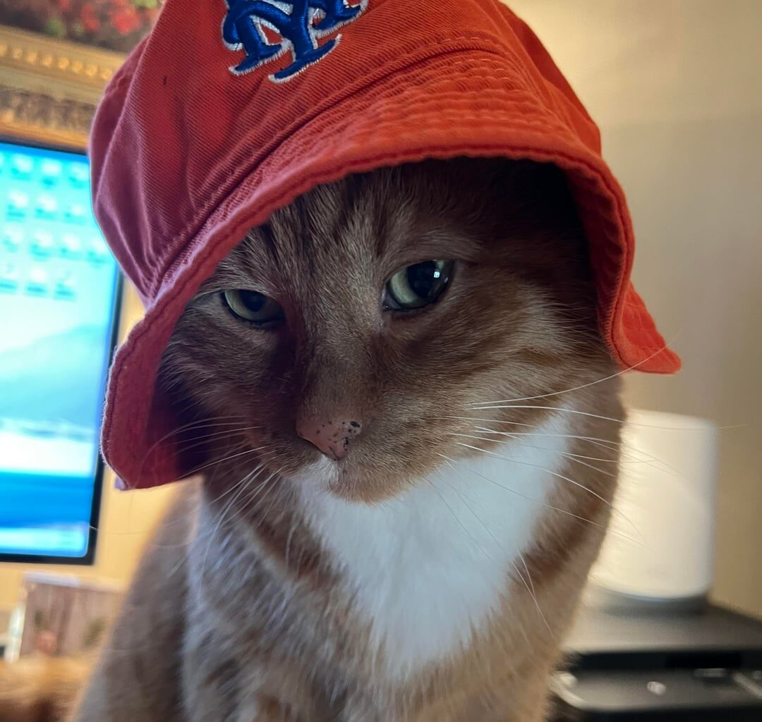 Hadji’s replacement