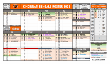 Is This Bengals Roster Overview Accurate?