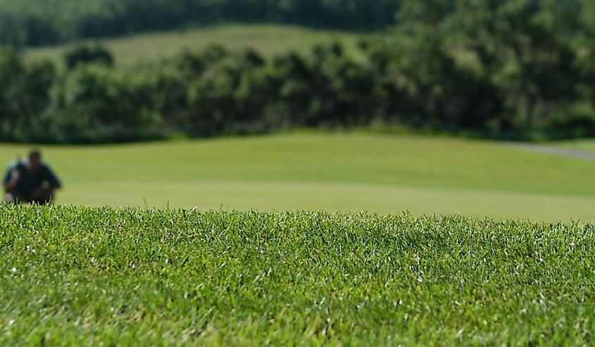 Close-up shot of green at Soldier Hollow Golf Course.