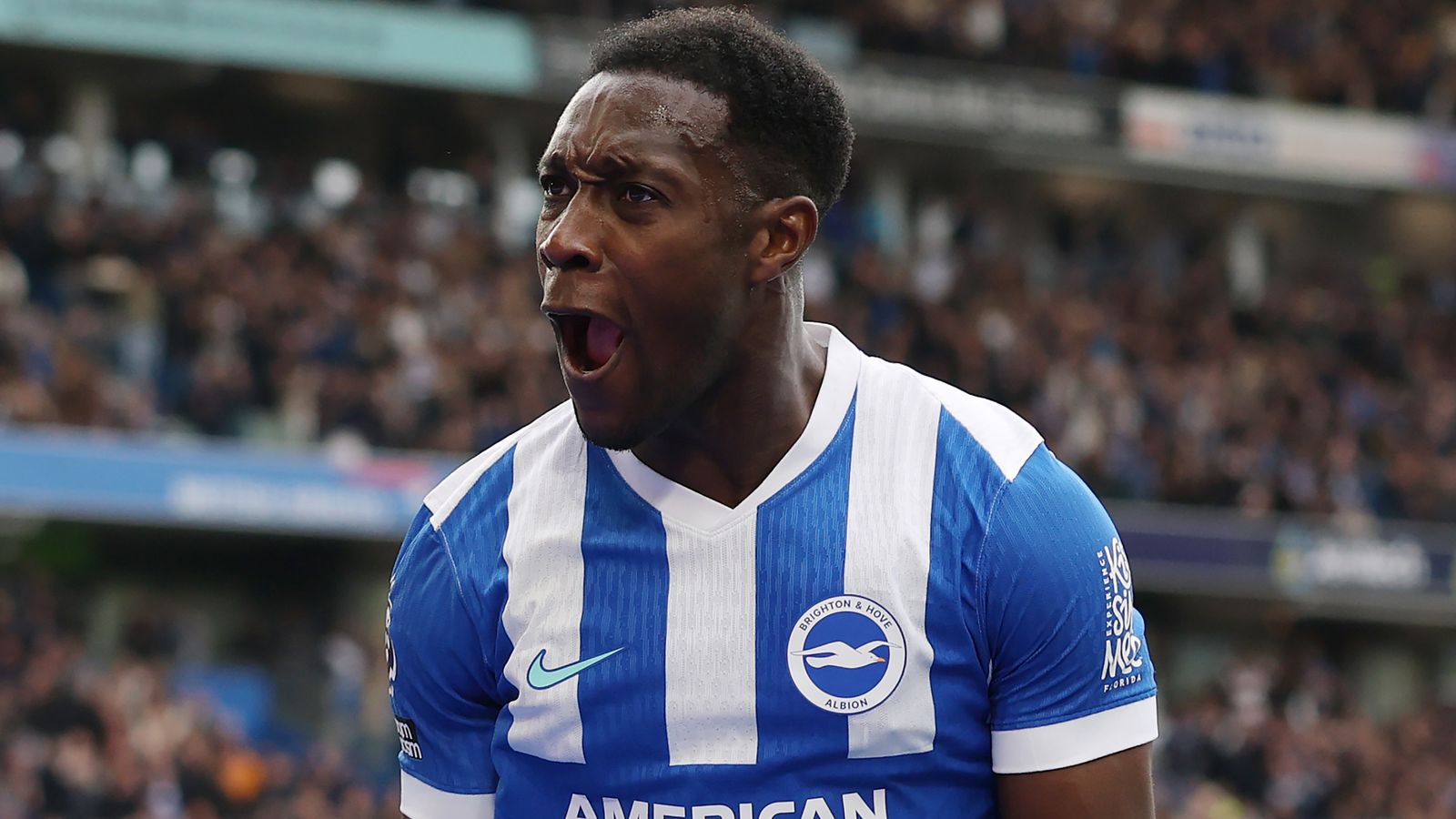 Danny Welbeck celebrates after giving Brighton the lead against Newcastle