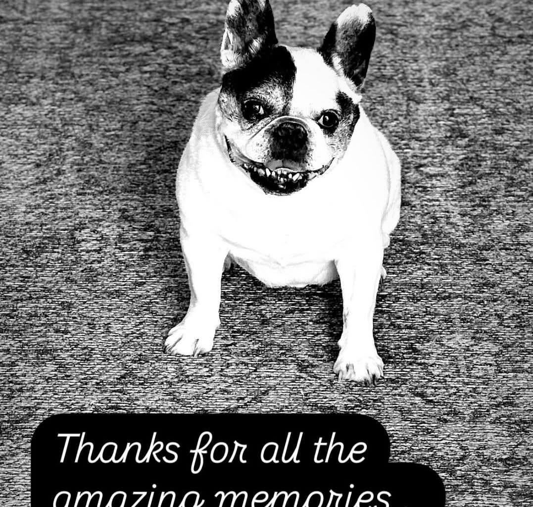 Harry now has the best seat to watch his dad play hockey. Rest in paradise, Harry