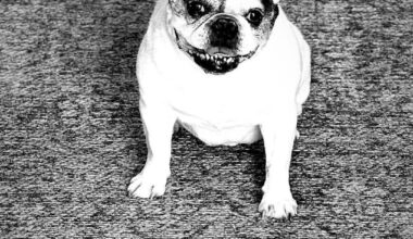 Harry now has the best seat to watch his dad play hockey. Rest in paradise, Harry