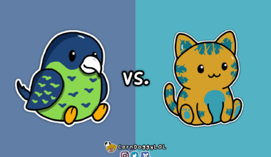 Jacksonville Jaguars Week 6 Matchup Doodle :)