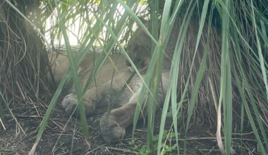 Met Stanley and Reinhart today