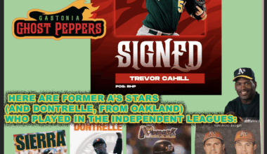How to make the Ballers even more Baller: Let them sign old MLB stars (ok fine burnouts) like they do in other Indy leagues. Trevor Cahill played pro baseball this year! And other old friends did in their day.  Who would you want them to sign?
