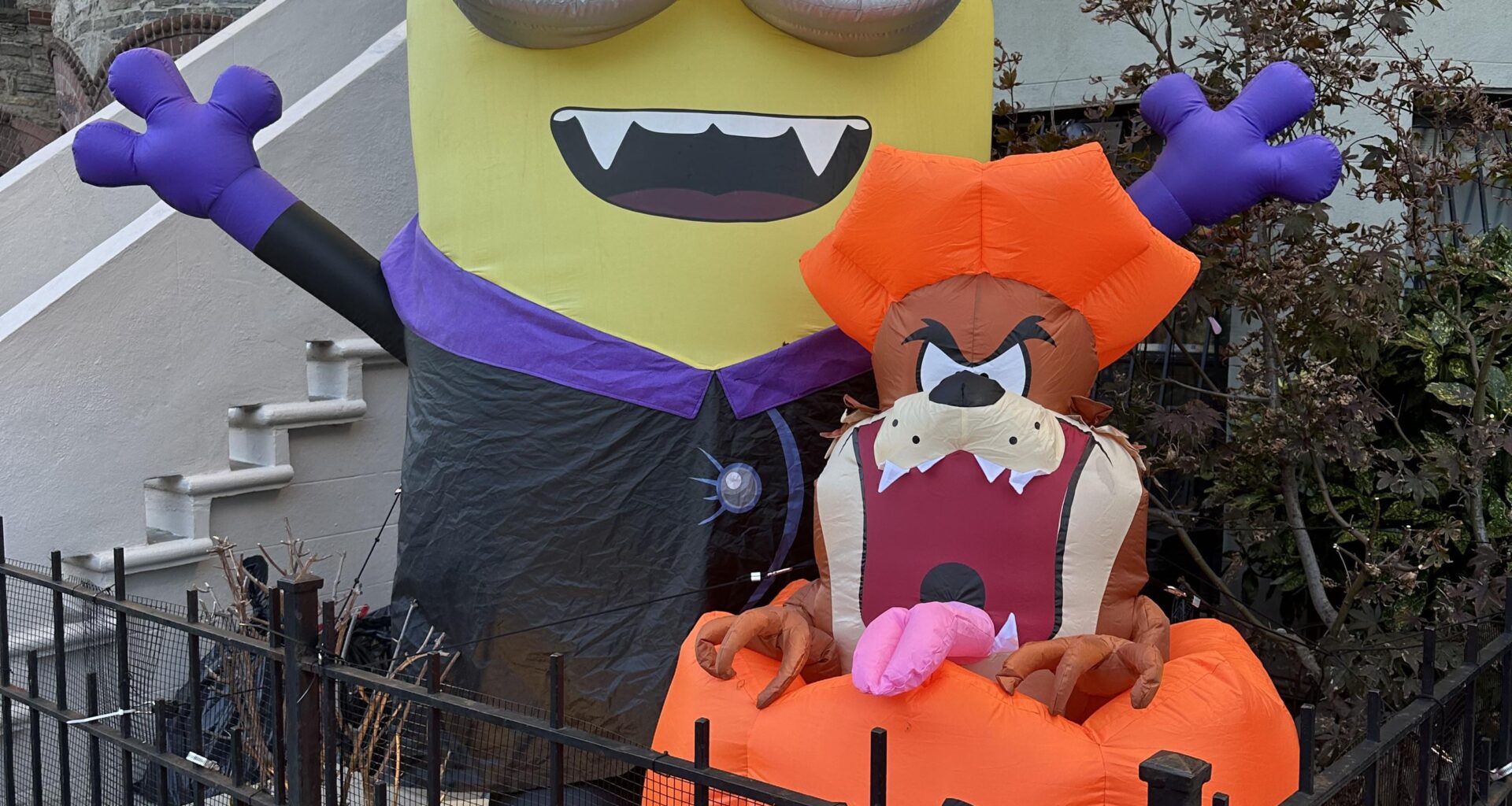 Saw Dart and Skat on my way to work today