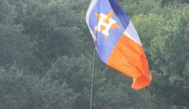 The flag doth wave! At ACL Fest