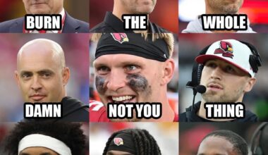 Brief break from your regular bird programming