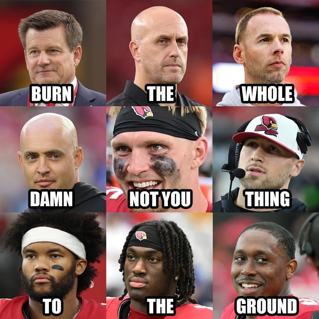 Brief break from your regular bird programming