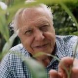 “We’ve just witnessed a very rare event, a Jamieson Oleksiak goal. What a magical moment.”