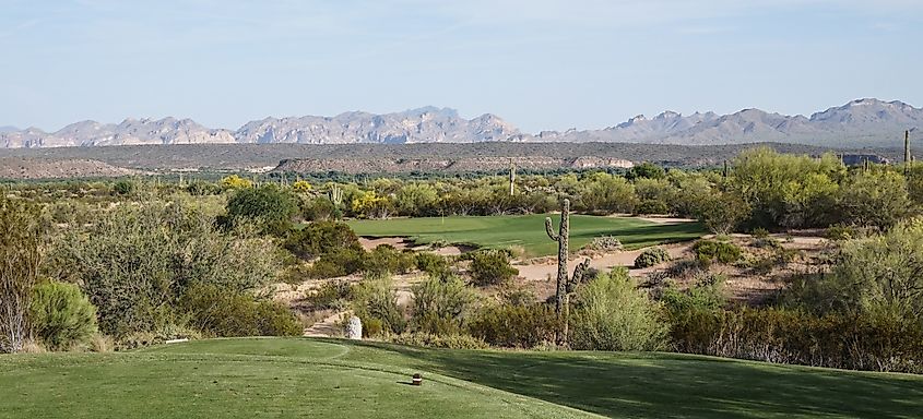 We-Ko-Pa Golf Club (Saguaro)