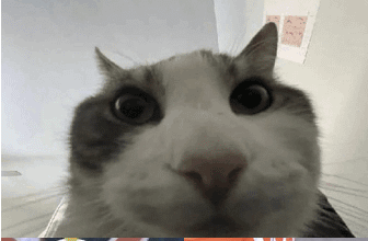 I also feel like him being out there is another reason why Rome is having a good year too but I can't prove it.