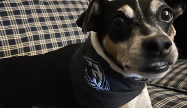 #1 Mammoth fan right here