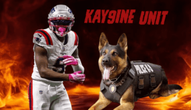 Kayshon Boutte is having a true breakout season. He is currently on pace for 865 Receiving Yards and 10 TDs and leads the NFL in two critical measures: 🔸0.97 EPA/target 🎯 🔸25.2% CROE * 📈 *catch rate over expectation. ABSOLUTE DAWG...