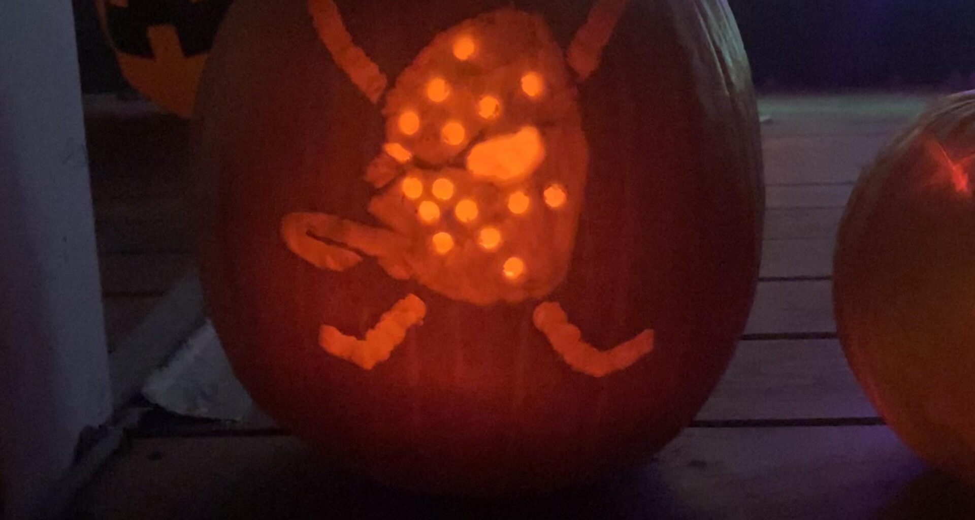 Anaheim Ducks Pumpkin