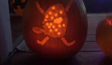 Anaheim Ducks Pumpkin