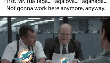 Dolphins have called in The Bobs