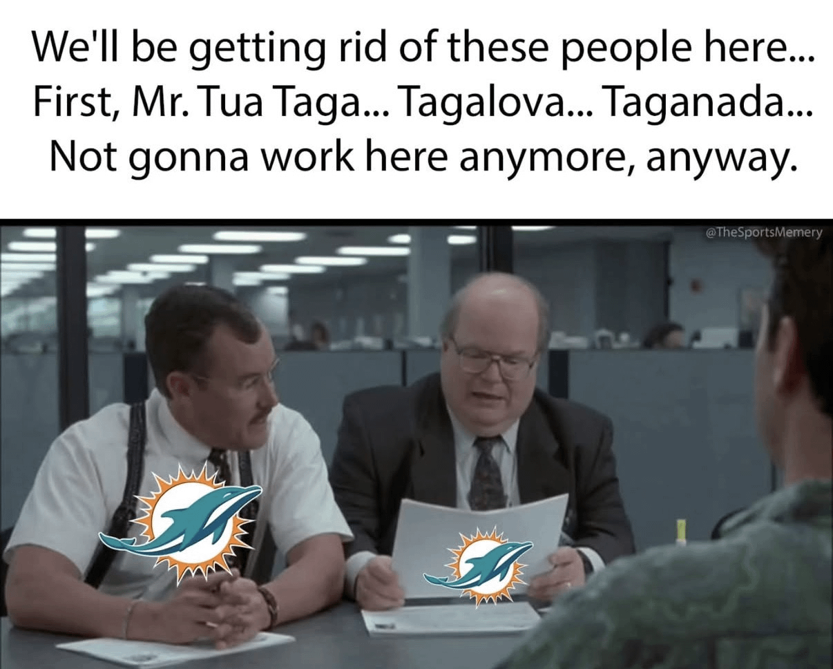 Dolphins have called in The Bobs