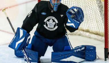 Stolarz new mask featuring a polar bear (Carlton)