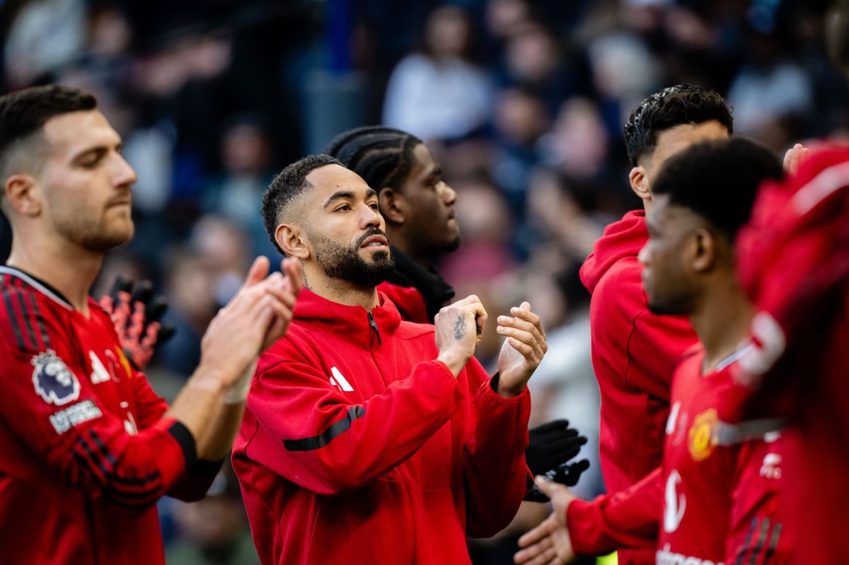 Download app from the App Store