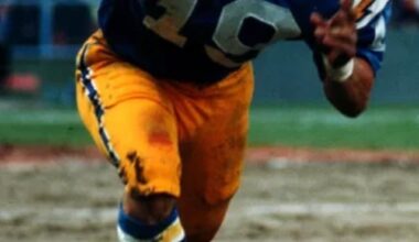 Ranking the Powder Blues today, again they're in my preferred order ⚡️