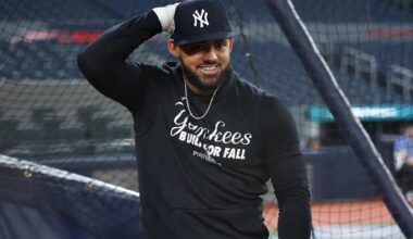 Jasson Domínguez to play in the Dominican winter league real soon