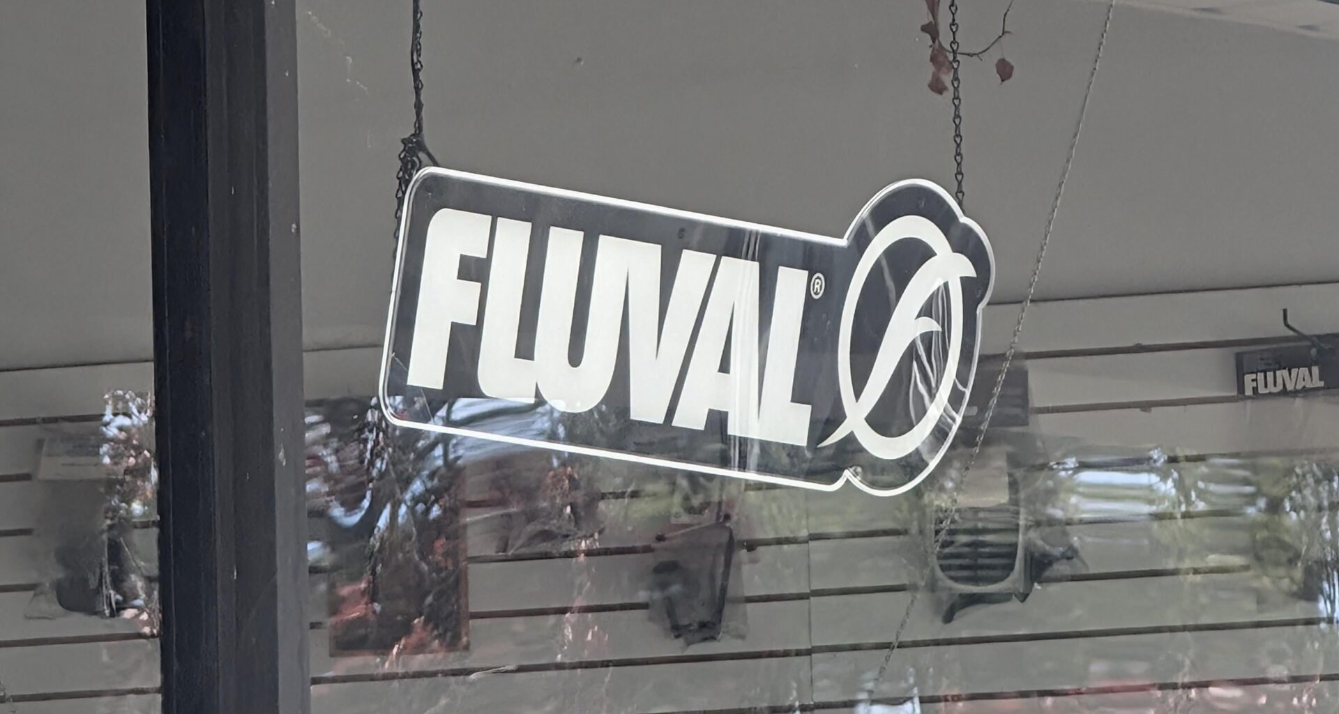 What happens when people don't wash their hands at the game